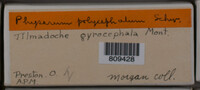 Image Associated With the Occurence